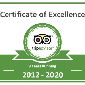 Certificate Of Excellence 2012-2020